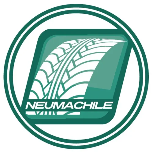 Goodyear 235/65R17 WRL FORTITUDE HT 104V SL