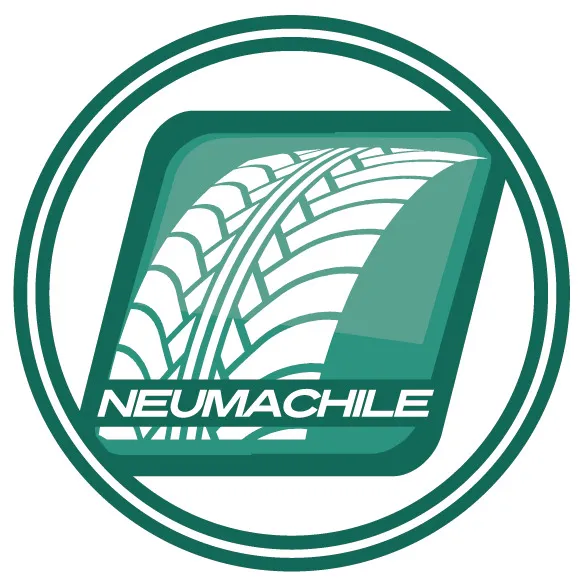 M992198 BF Goodrich 235/55 R19 105W XL TL ADVANTAGE SUV